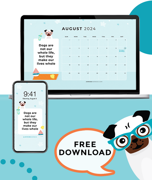 Keep Your Dogs Cool In The August Heat (August 2024 Free Desktop & Mobile Wallpaper )