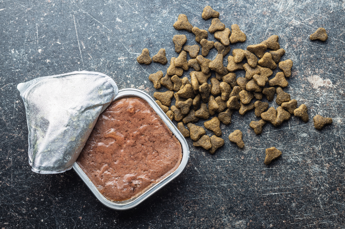 Dry Dog Food vs. Wet Dog Food: Which Is Better for Your Dog?