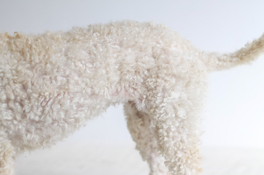 Can dogs hurt themselves by over-grooming?
