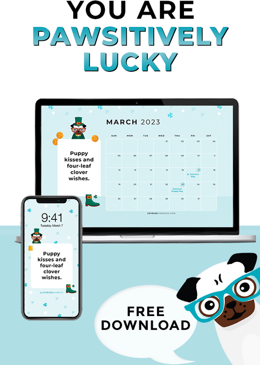 March 2023 Free Desktop & Mobile Wallpaper For Dog Lovers