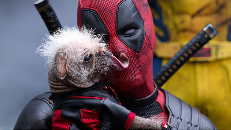 That Dog From Deadpool: DOGPOOL!