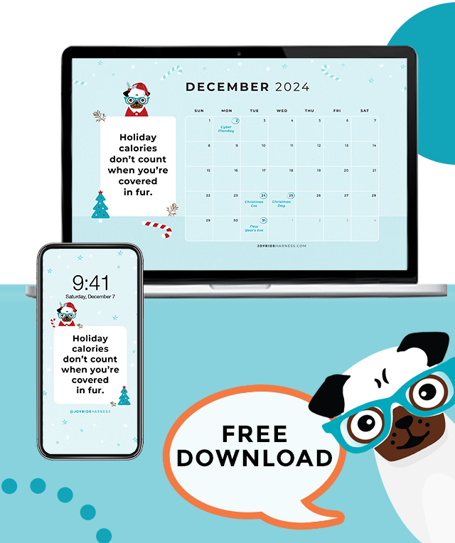 Celebrate Christmas Safely with Your Dog (December 2024 FREE DESKTOP & MOBILE WALLPAPER)