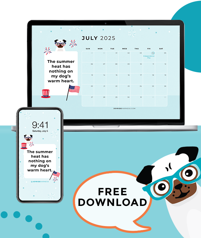 Calm Your Dog During Firework Season (July 2025 Free Desktop & Mobile Wallpaper)