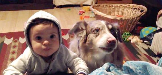 Dog Says 'Mama' Before Baby During Bribe To Get Food