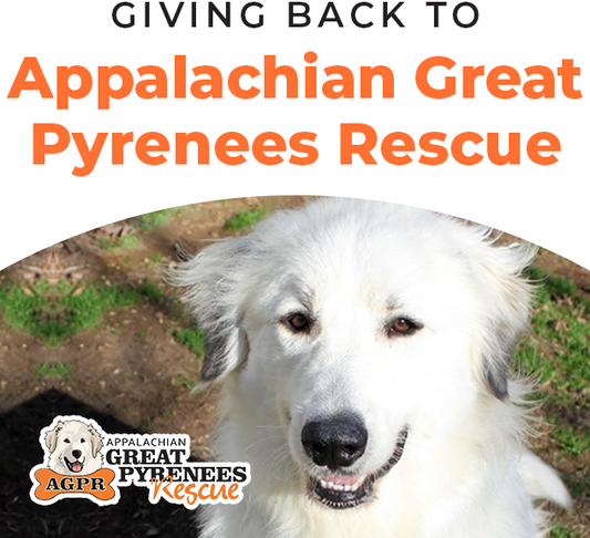 Paw It Forward Spotlight: Appalachian Great Pyrenees Rescue