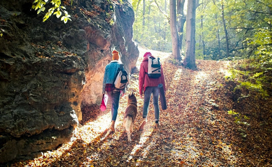 Hiking Equipment for Dogs