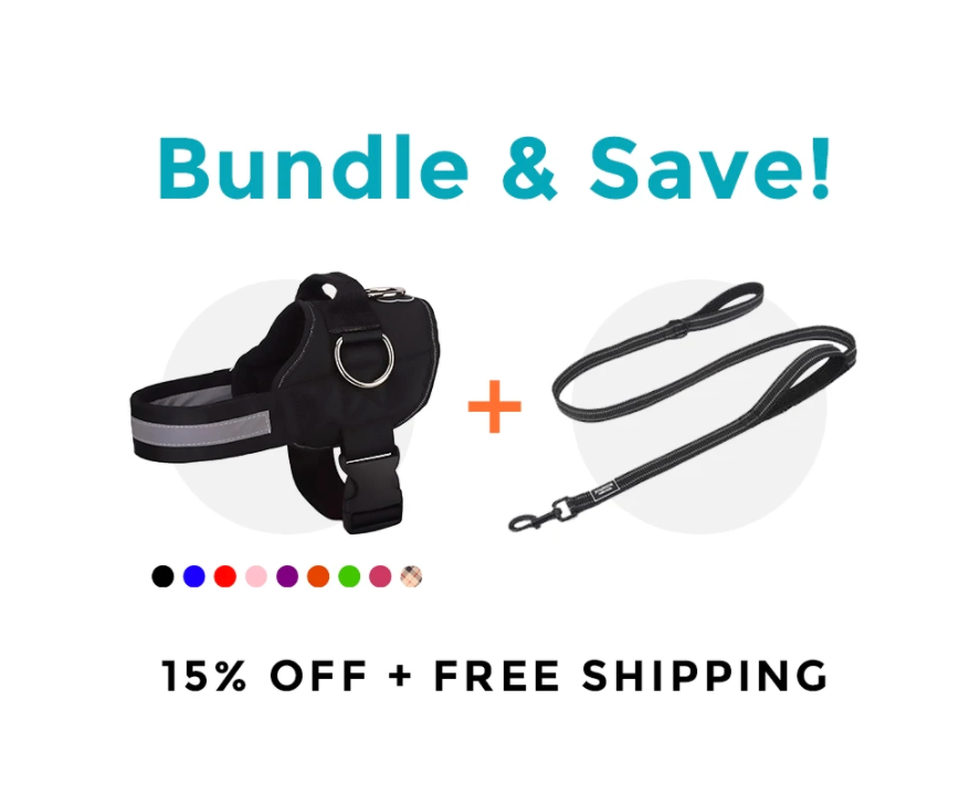 Joyride Harness Announces Bundle Deals In Time For The Holidays