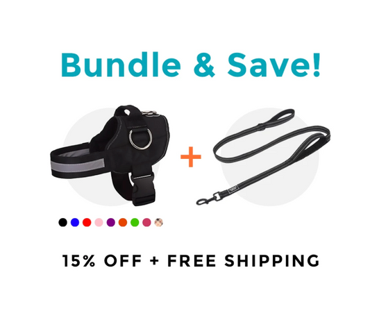 Joyride Harness Announces Bundle Deals In Time For The Holidays