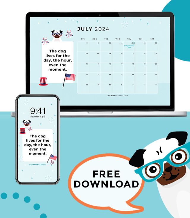 Keeping Your Dog Safe on July 4th ( JULY 2024 Free Desktop & Mobile Wallpaper)