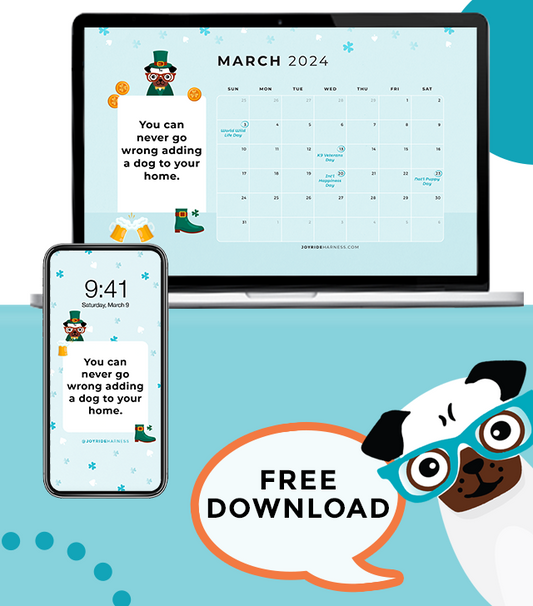 Reasons a Dog Makes You Happy ( + March 2024 Free Desktop & Mobile Wallpaper)