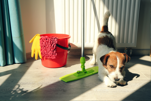 Household Products That Are Poisonous For Your Dog