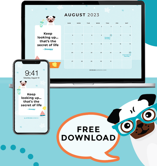August 2023 Free Desktop & Mobile Wallpaper For Dog Lovers