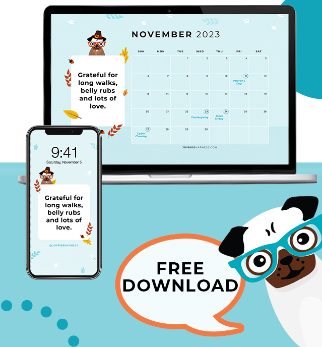 November 2023 Free Desktop & Mobile Wallpaper For Dog Lovers