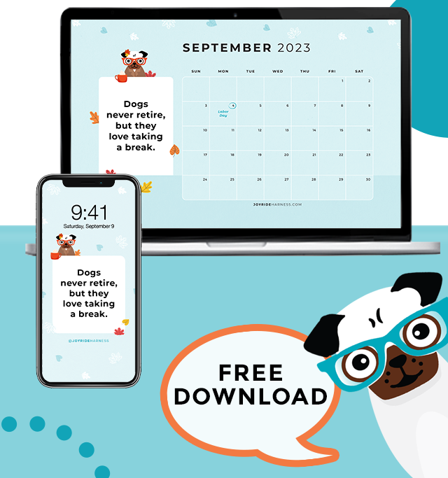 September 2023 Free Desktop & Mobile Wallpaper For Dog Lovers