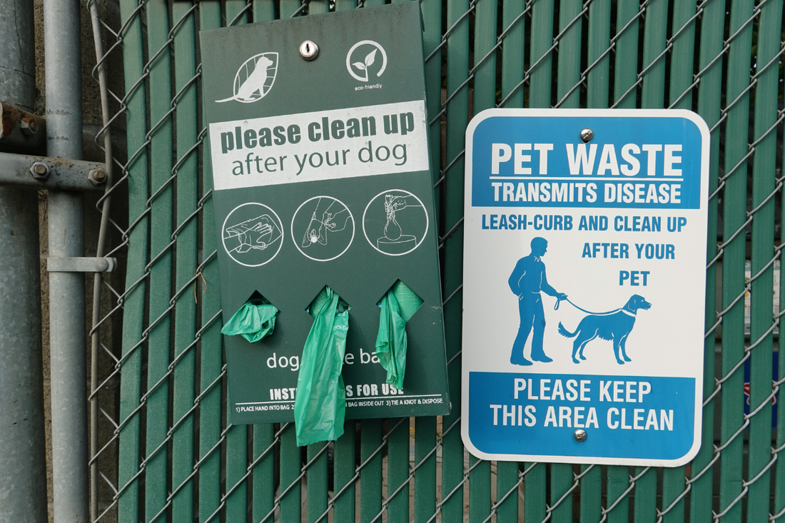 How To Be an Eco-friendly Dog Owner?