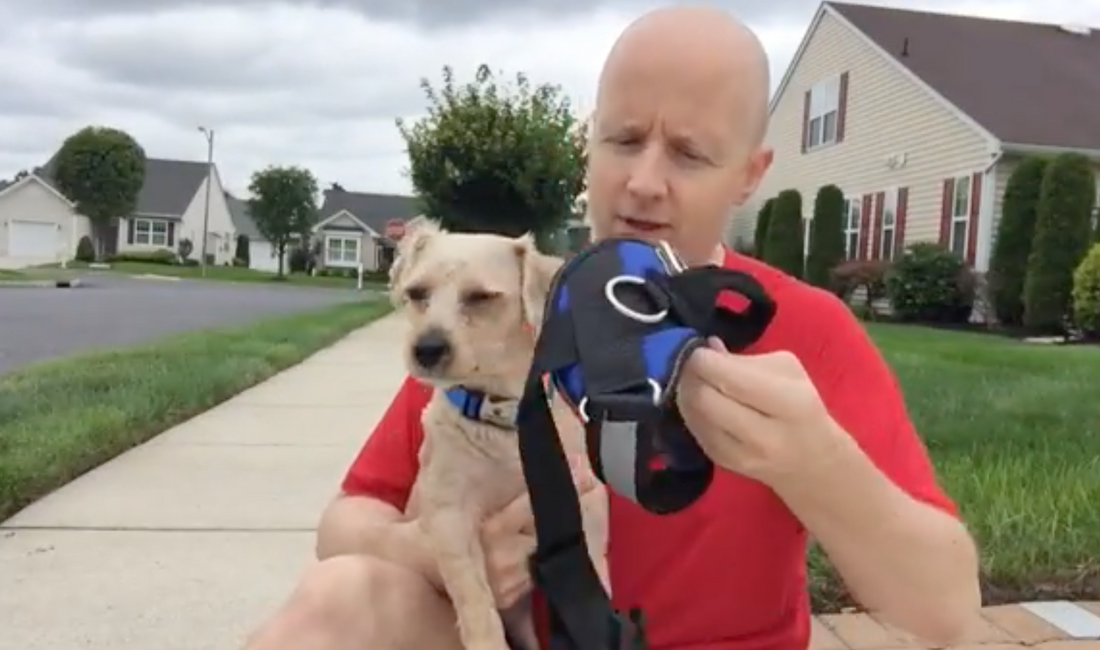 Pug Life Harness Review by Parker Pet Page