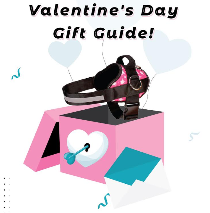 Valentine's Day Gift Guide