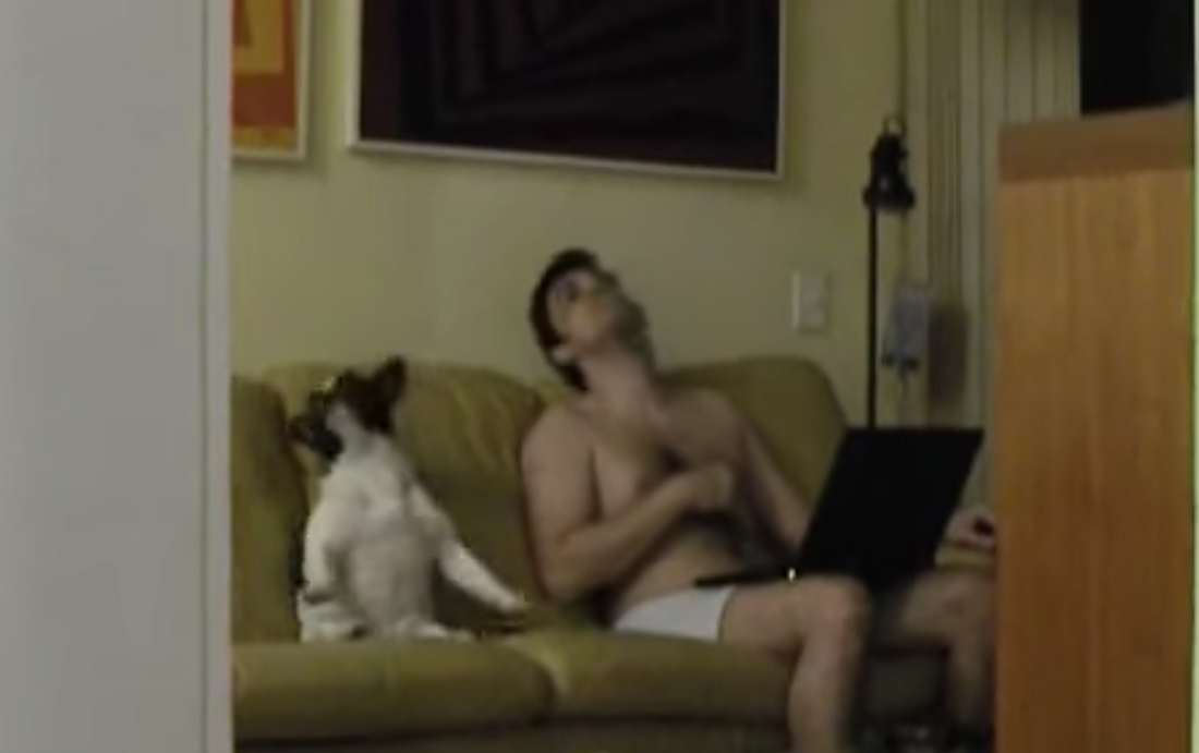 Mom Catches Dog & Dog Dad Jamming Out On Camera