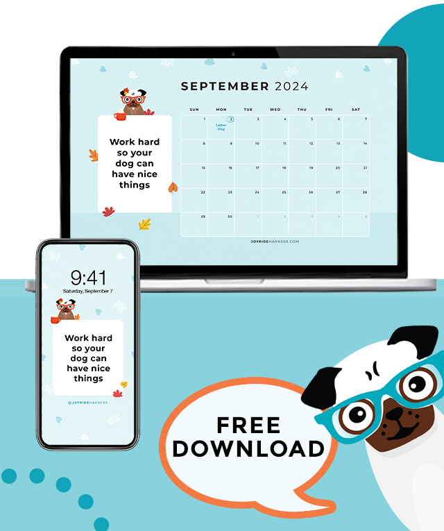 Preparing Your Dog For Fall 2024 (SEPTEMBER 2024 FREE DESKTOP & MOBILE WALLPAPER)