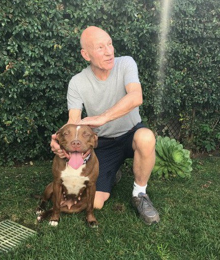 Star Trek Actor Patrick Stewart Forced to Rehome Foster Dog Because of UK Restrictions
