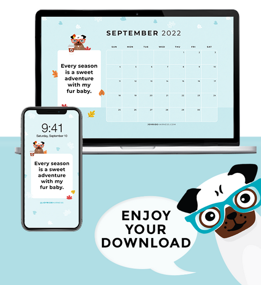 September 2022 Free Desktop & Mobile Wallpaper For Dog Lovers