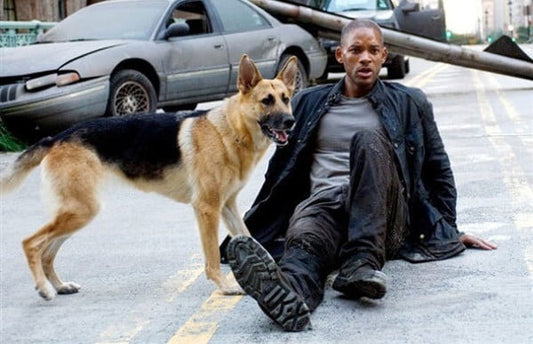 Abbey, Dog From 'I Am Legend' Is Alive & Well Safe From Zombies