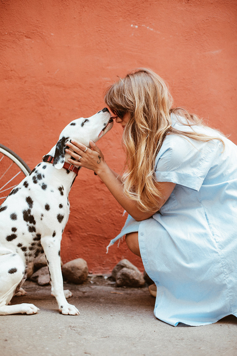 The Science of Dogs & Our Happiness