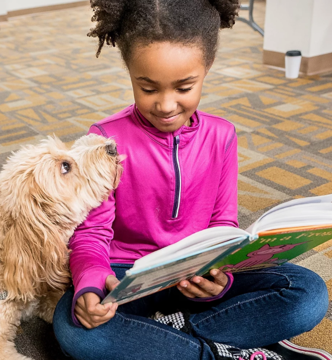 Washington D.C. Nonprofit Launches Zoom Therapy Dog Sessions