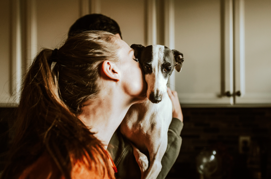 8 Reasons Why We're Thankful For Our Dogs