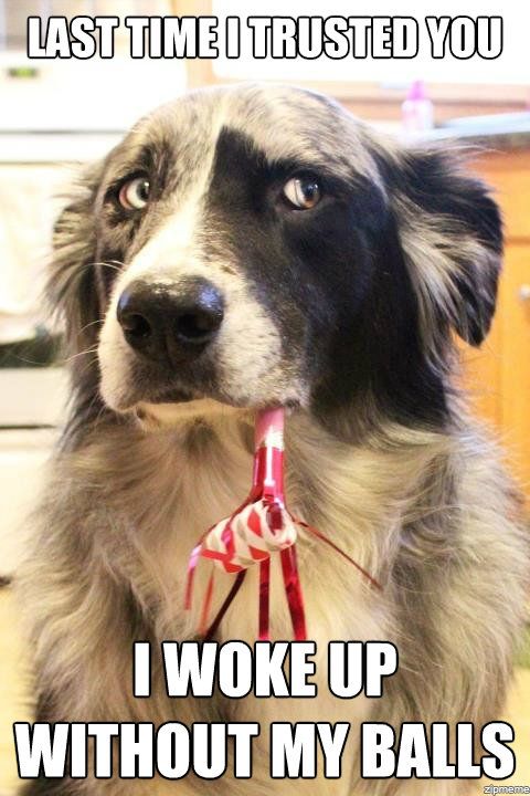 Days Of The Week As Told By Relatable Dog Memes