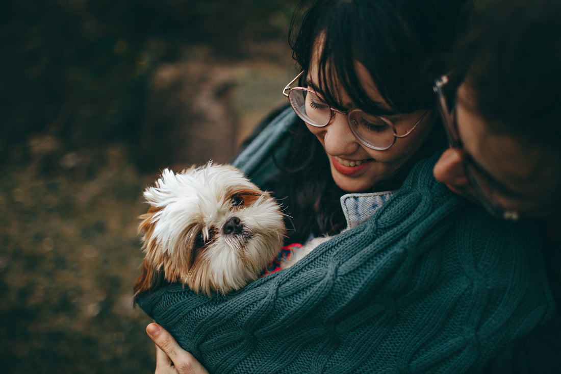 Pet Preparedness For Natural Disasters: Things To Know