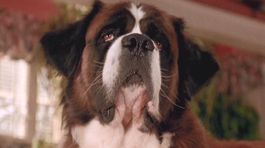 15 Iconic Dogs In Pop Culture Everyone Should Know