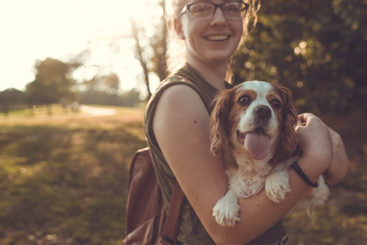 How to Pick the Right Dog Walker