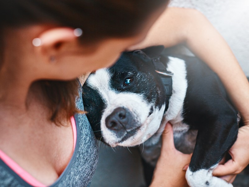 A first-time dog owner affectionately looks down at the black and white dog she’s holding in her arms