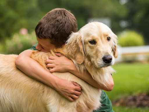 A young boy hugging his golden retriever 