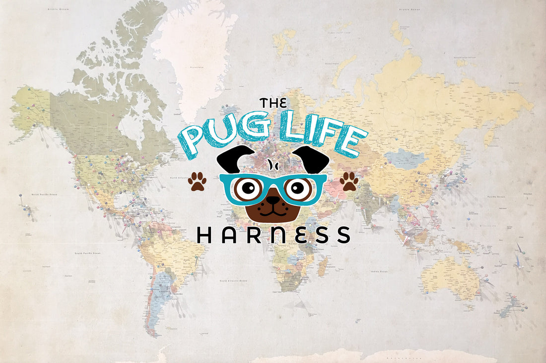 Where in the World is Pug Life Harness?