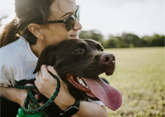 Quality Time and Bonding Ideas with Your Dog!