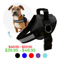 Joyride Basic Essential Dog Harness 1.0+ (Solid Colors)