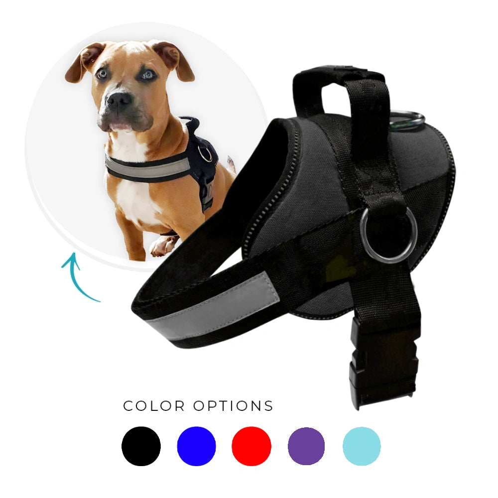 Joyride Basic Essential Dog Harness 1.0+ (Solid Colors)