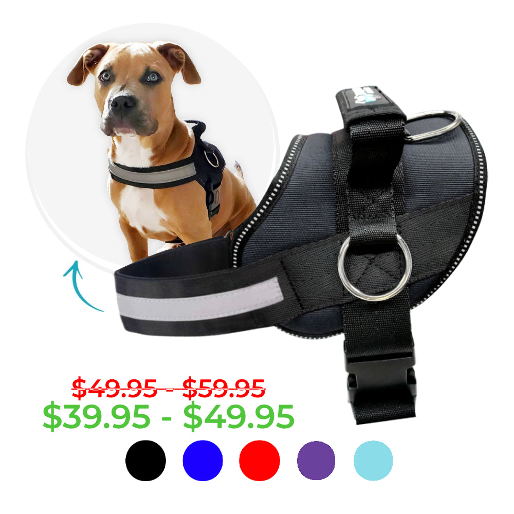 Joyride Basic Essential Dog Harness 1.0+ (Solid Colors)