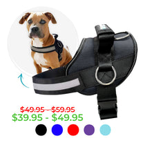 Joyride Basic Essential Dog Harness 1.0+ (Solid Colors)