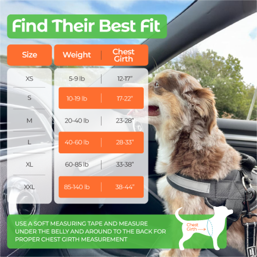 best fit dog harness with top handle