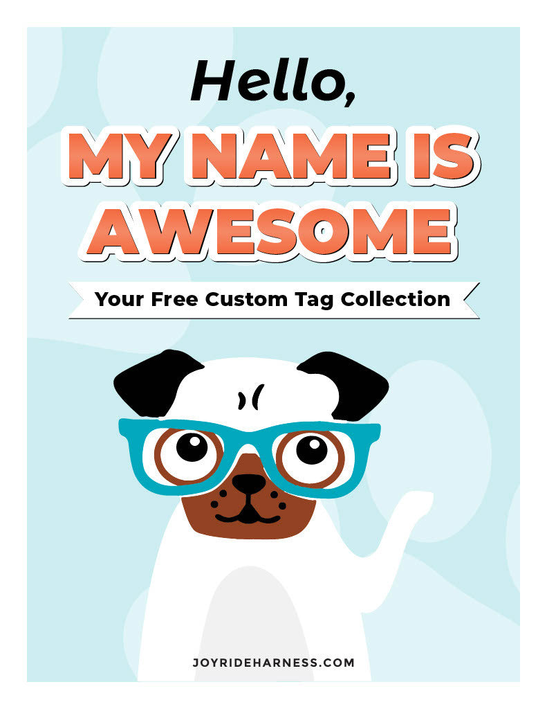 Free Custom Name Tags for 2.0 Harnesses PDF - 13 Tags Included ( -$19.95)