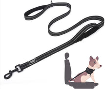 Black Dog Leash with Seat Belt Buckle