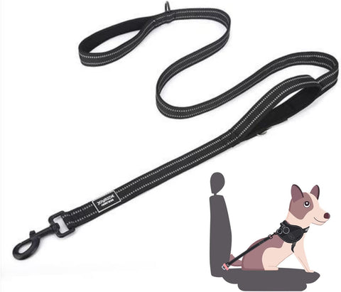 Black Dog Leash with Seat Belt Buckle