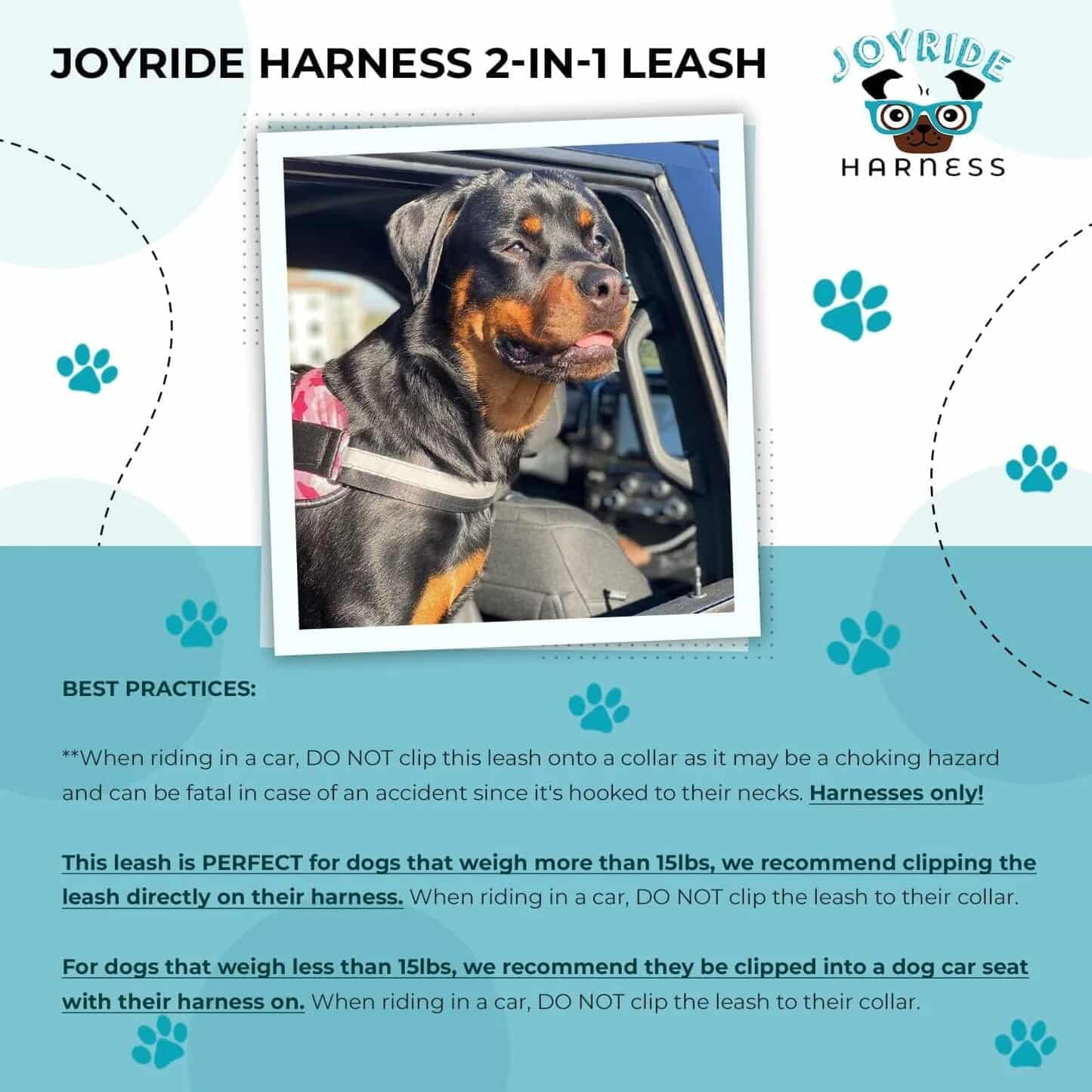 Joyride Harness 2-in-1 leash safety guide for dogs riding in cars