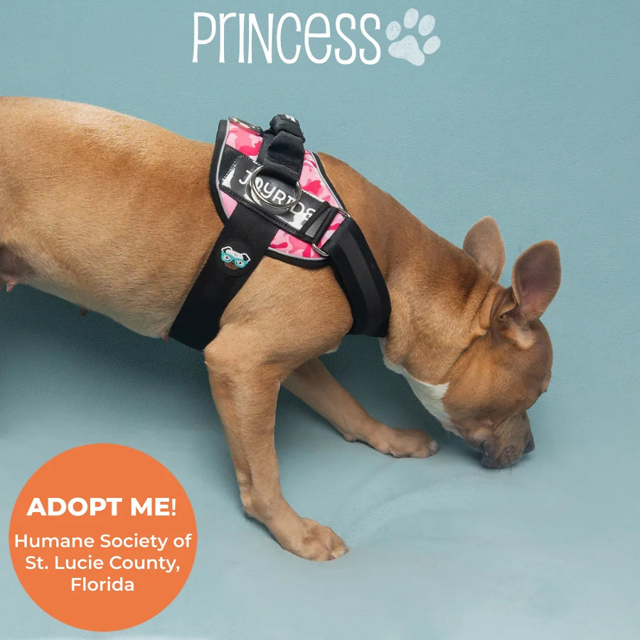Pink Camo Joyride Premium Advanced Dog Harness 2.0