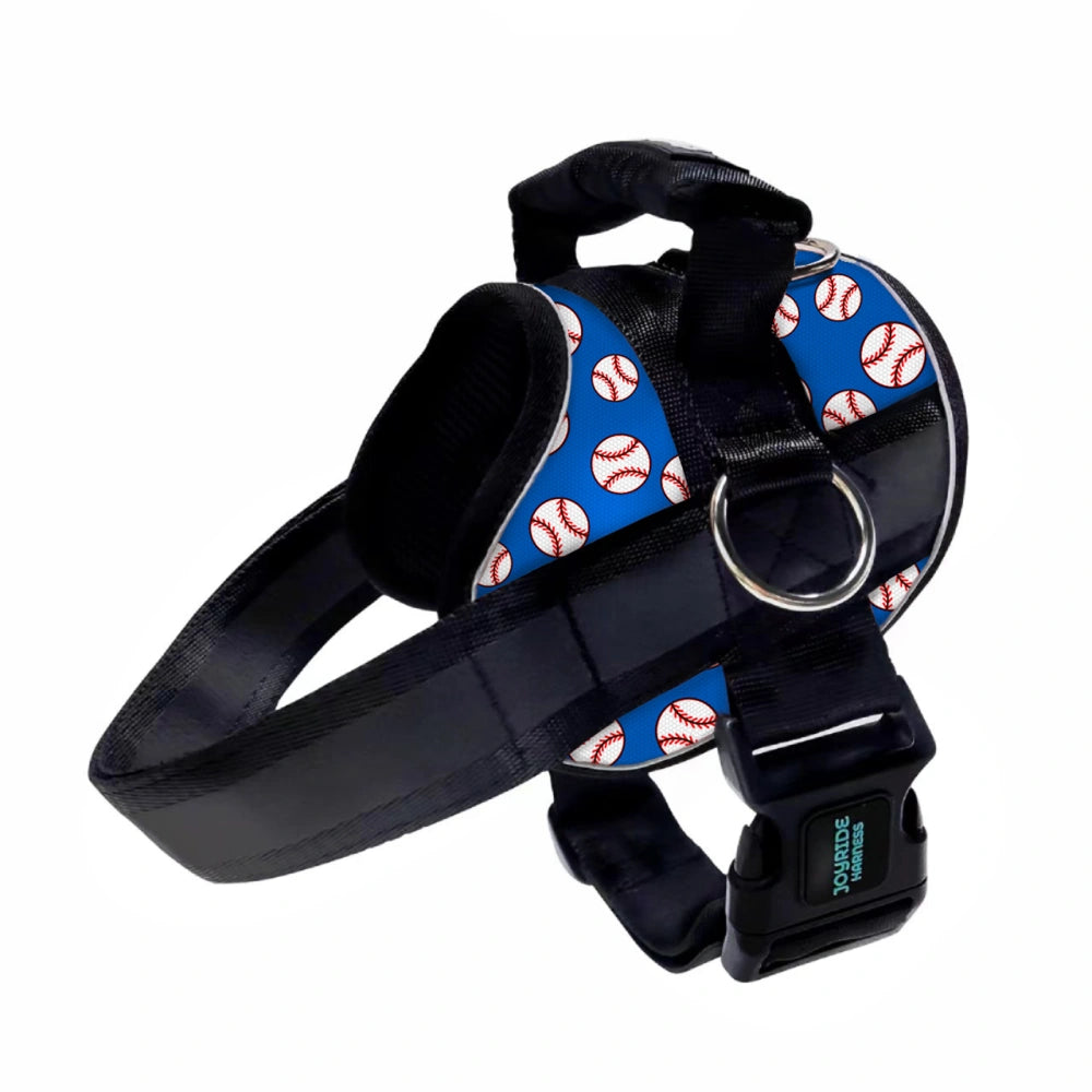 38938644021444