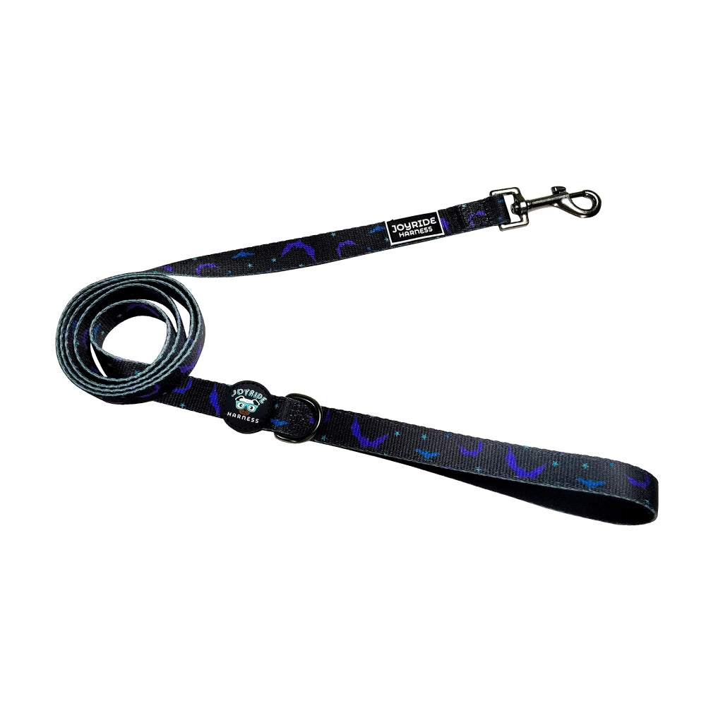 Bat Season Limited Edition Matching Dog Leash