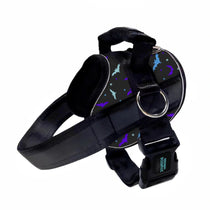Bat Season Limited Edition Joyride Premium Advanced Dog Harness 2.0